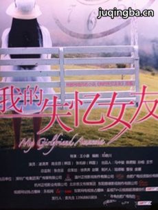 我的失忆女友 我的失忆女友剧情介绍(1-30全集)