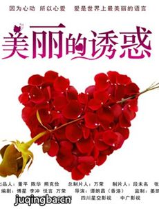 美丽的诱惑 美丽的诱惑剧情介绍(1-30全集)