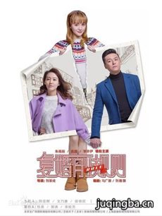复婚前规则 复婚前规则剧情介绍_复婚前规则剧情简介...