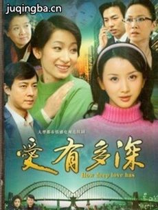 爱有多深 电视剧《爱有多深》剧情介绍(1-34全集)