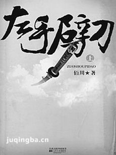 左手劈刀 电视剧左手劈刀剧情介绍(1-48全集)