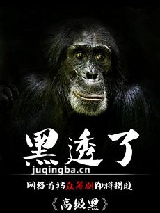 高级黑 电视剧高级黑剧情介绍(1-10全集)