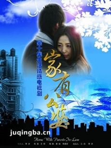 家婆大过天 家婆大过天剧情介绍(1-40全集)