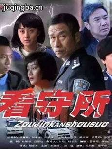 走进看守所 电视剧《走进看守所》剧情介绍(1-29全集...