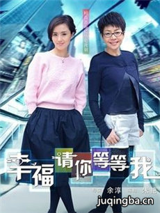 再婚的战争 再婚的战争剧情介绍(1-36全集)