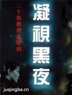 凝视黑夜 凝视黑夜剧情介绍(1-30全集)