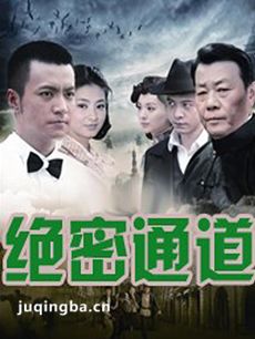 绝密通道 绝密通道剧情介绍(1-36全集)