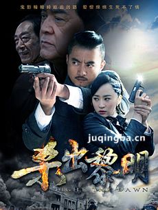 杀出黎明 杀出黎明剧情介绍(1-36全集)