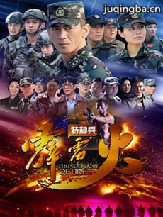 特种兵之霹雳火 特种兵之霹雳火剧情介绍(1-45全集)