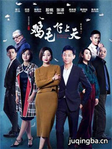 鸡毛飞上天 电视剧《鸡毛飞上天》剧情介绍(1-55全集...