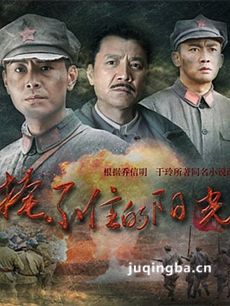 掩不住的阳光 掩不住的阳光剧情介绍(1-35全集)