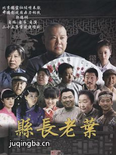 县长老叶 电视剧《县长老叶》剧情介绍(1-25全集)