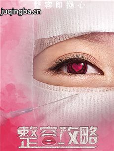 整容攻略 整容攻略剧情介绍(1-15全集)