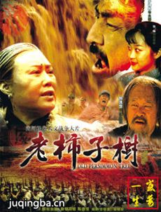 老柿子树 老柿子树剧情介绍(1-28全集)