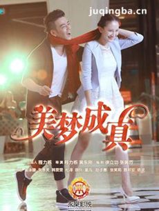 美梦成真 电视剧美梦成真剧情介绍(1-30全集)