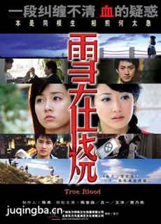 雪在烧 雪在烧剧情介绍(1-32全集)