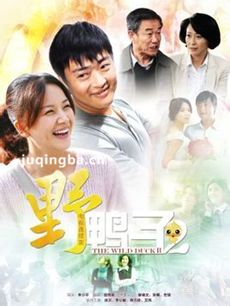 野鸭子2 野鸭子2剧情介绍(1-30全集)