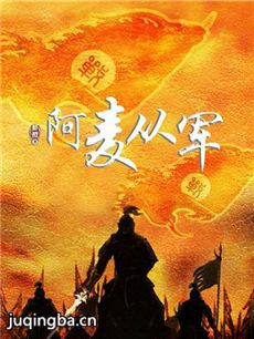 阿麦从军 阿麦从军剧情介绍(1-40全集)