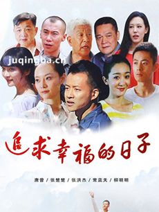 追求幸福的日子 追求幸福的日子剧情介绍(1-30全集)