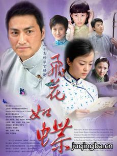 飞花如蝶 飞花如蝶剧情介绍(1-26全集)
