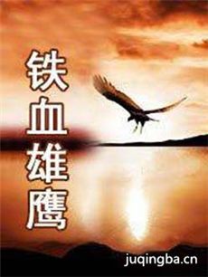铁血雄鹰 铁血雄鹰剧情介绍(1-40全集)