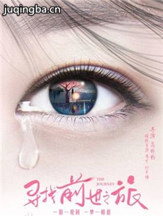 寻找前世之旅 寻找前世之旅剧情介绍(1-12全集)