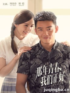 那年青春我们正好 电视剧《那年青春我们正好》剧情介...