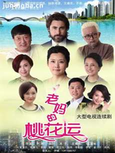 老妈的桃花运 老妈的桃花运剧情介绍(1-40全集)