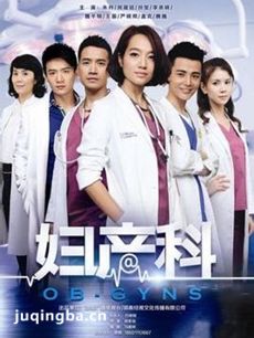 爱的妇产科 爱的妇产科剧情介绍(1-12全集)
