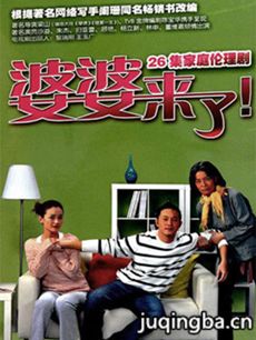 婆婆来了 电视剧《婆婆来了》剧情介绍(1-26全集)