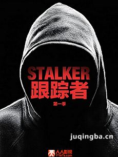 美剧跟踪者 美剧跟踪者剧情介绍(1-20全集)