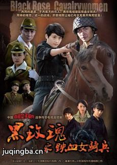 复仇黑玫瑰 复仇黑玫瑰剧情介绍(1-31全集)