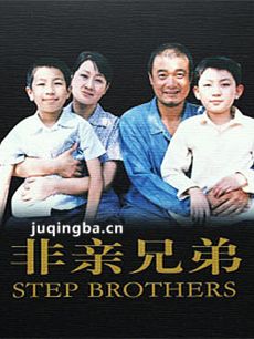 非亲兄弟 电视剧非亲兄弟剧情介绍(1-24全集)