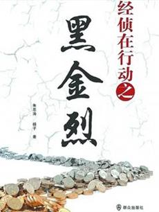 经侦在行动之黑金烈 经侦在行动之黑金烈剧情介绍(1-...