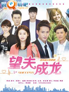 望夫成龙 电视剧望夫成龙剧情介绍(1-50全集)
