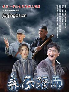 暴风骤雨 电视剧《暴风骤雨》剧情介绍(1-50全集)