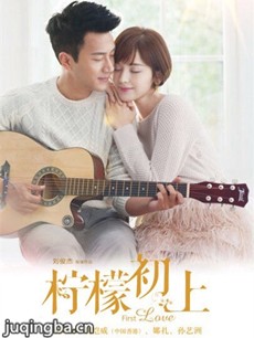 柠檬初上 电视剧《柠檬初上》剧情介绍(1-42全集)