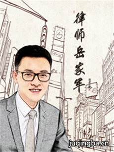 律师岳家军第二季 律师岳家军第二季剧情介绍(1-12全...