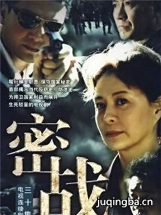 密战 密战剧情介绍(1-30全集)