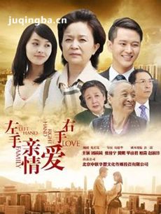 左手亲情右手爱 左手亲情右手爱剧情介绍(1-35全集)