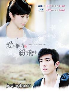 爱在桐花纷飞时 爱在桐花纷飞时剧情介绍(1-20全集)